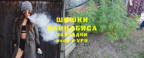шишки Майский