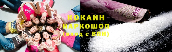 шишки Майский
